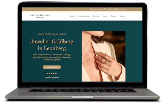 Mockup-Website-Goldberg-1.png